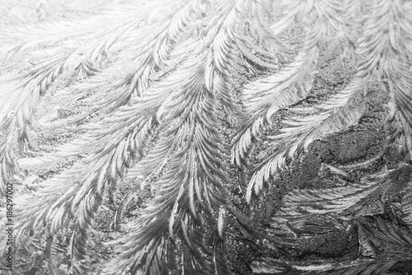 Fototapeta Frost on glass