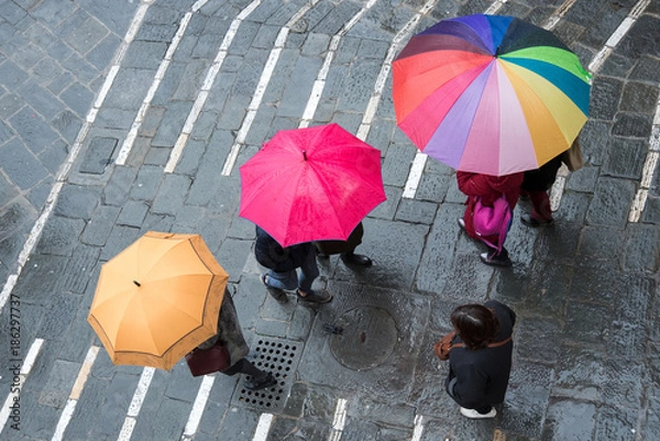 Obraz Colorful umbrellas
