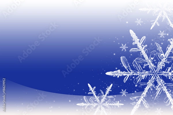 Obraz Fiocco di neve