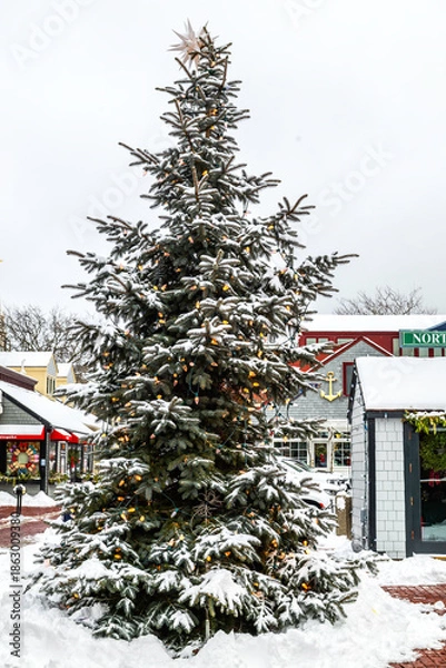 Obraz Winter in New England