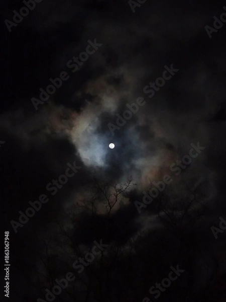 Fototapeta 冬の月夜　雲間の月