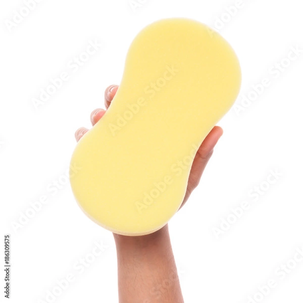 Obraz hand holding yellow sponge