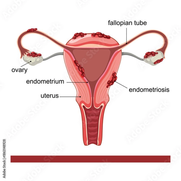 Obraz simple vector clipart,
