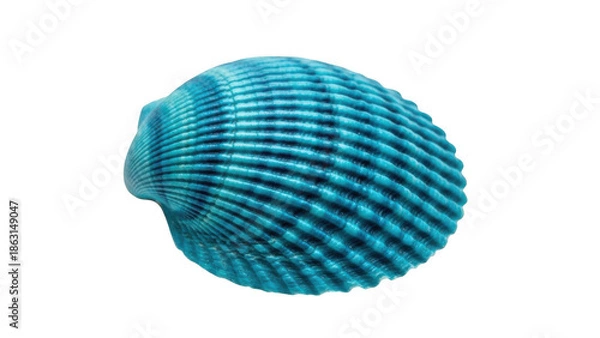 Obraz Bright blue shell on white background