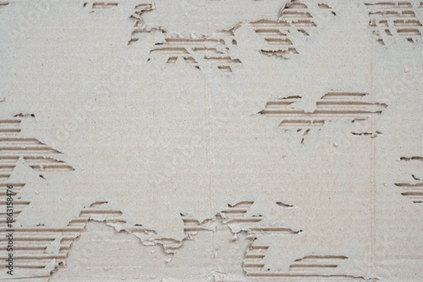 Obraz Torn Corrugated Cardboard Paper Texture Effect Background.
