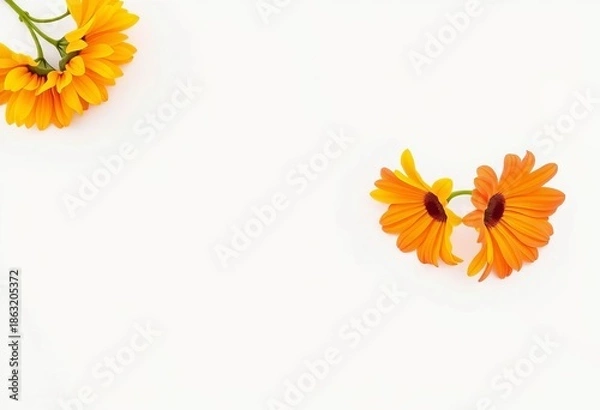 Obraz Clean white background texture, seamless backdrop,  design,  image