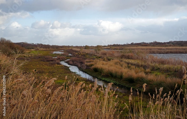 Obraz Südstrandpolder