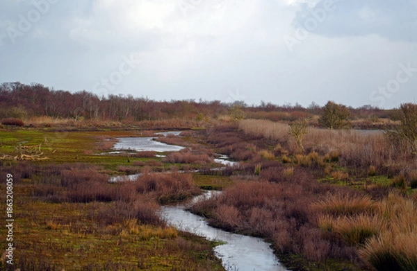 Obraz Südstrandpolder
