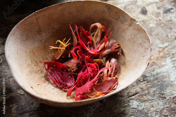 Fototapeta nutmeg mace isolated