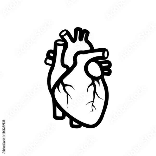 Obraz Simple human heart vector icon illustration.