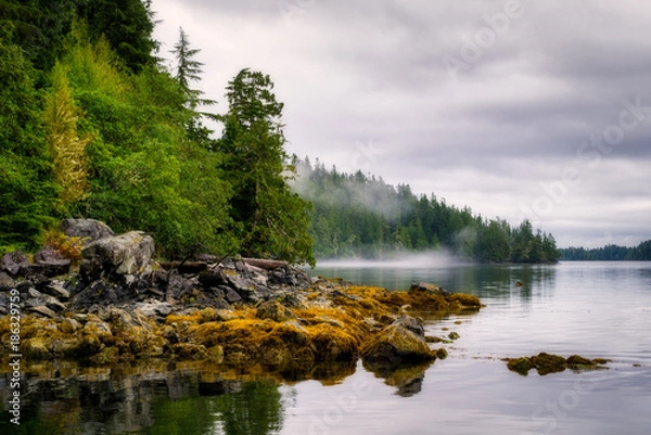 Obraz Plaża i wybrzeże na wyspach Broken Group, u wybrzeży zachodniej Co