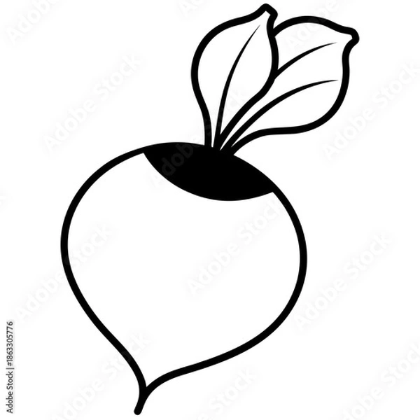 Obraz Fresh Beetroot with Leaves Whole Raw Vegetable