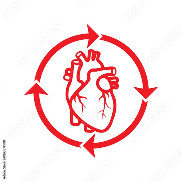 Obraz Simple human heart vector icon illustration.