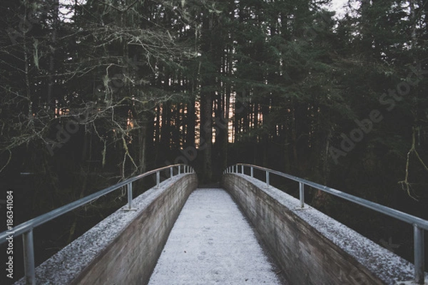 Fototapeta Bridge to Sunset