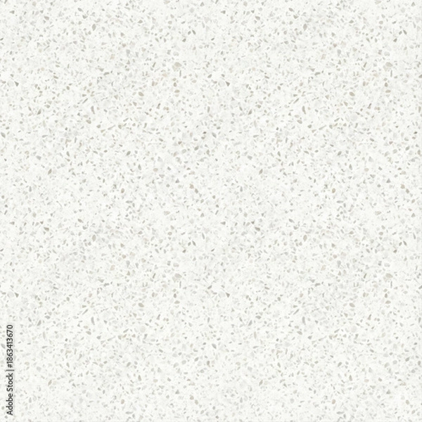 Obraz White Terrazzo Stone Texture Pattern for Modern Flooring Design