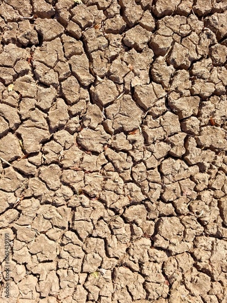 Obraz cracked earth texture