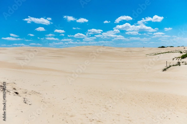 Fototapeta The dunes at Jockey ridge Outer Banks