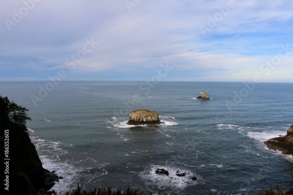 Obraz Whale Watching