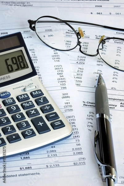 Fototapeta Reviewing the financial report of a company