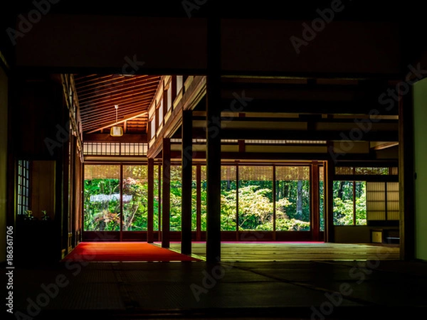 Fototapeta OLYMPUS DIGITAL CAMERA