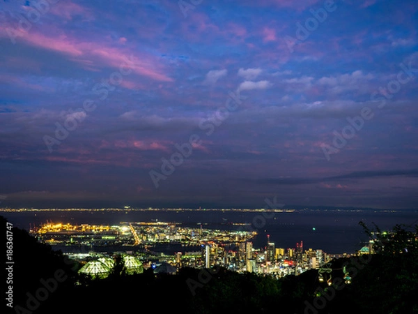 Fototapeta OLYMPUS DIGITAL CAMERA