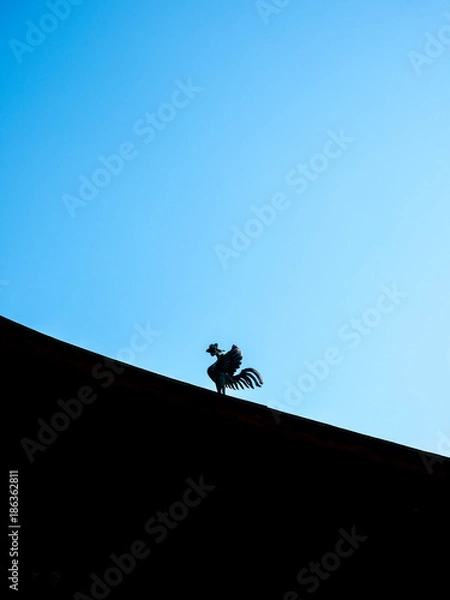 Fototapeta OLYMPUS DIGITAL CAMERA