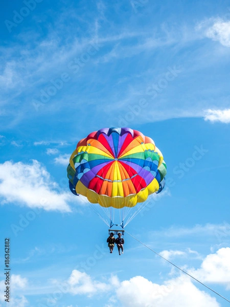 Fototapeta OLYMPUS DIGITAL CAMERA