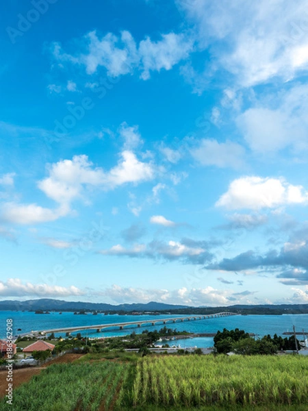 Fototapeta OLYMPUS DIGITAL CAMERA