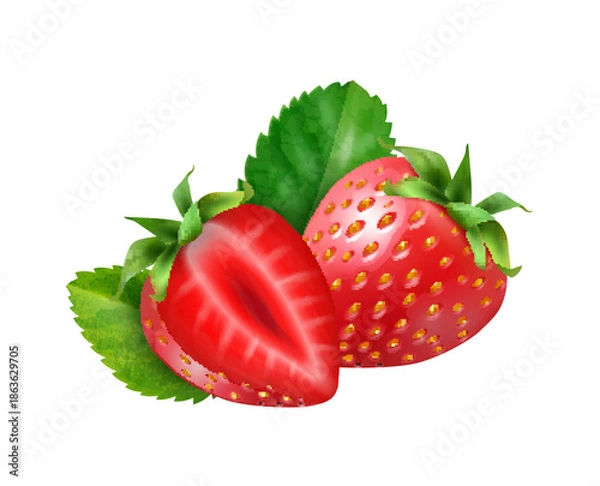 Obraz vector elements