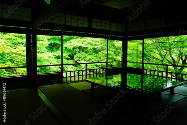 Obraz 京都瑠璃光院の青もみじと床もみじ