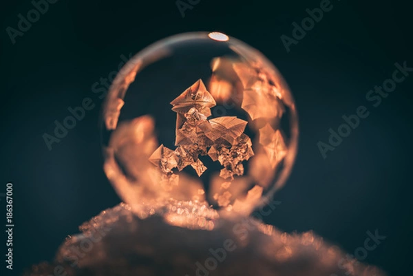 Obraz Crystals on frozen bubble