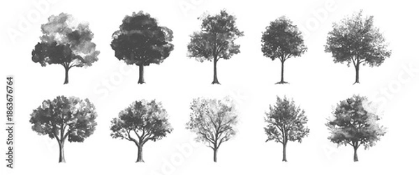 Obraz Vector Modern Landscape Tree Icons Collection on White Background