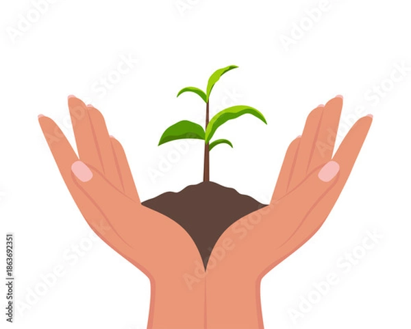 Fototapeta Adobe Illustrator Artwork