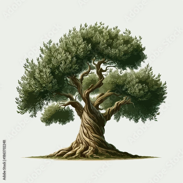 Obraz olive tree illustration