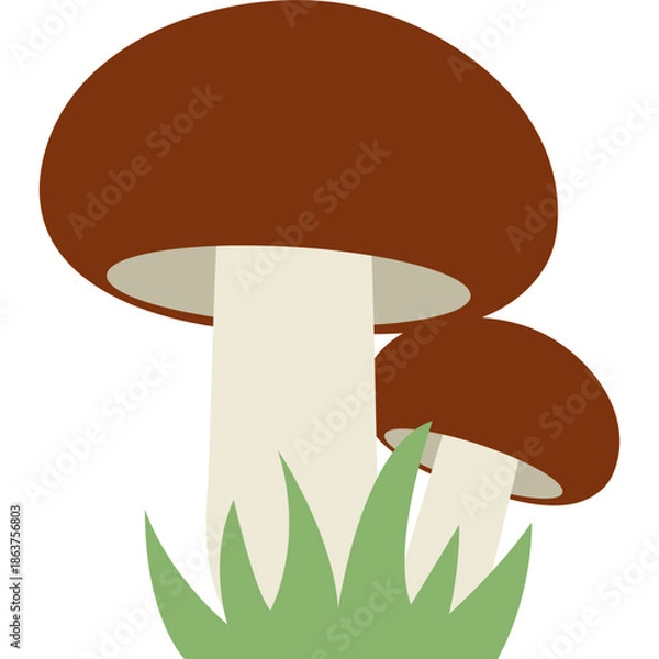 Obraz Cute Mushroom Illustration