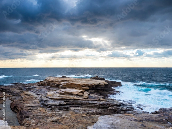 Fototapeta OLYMPUS DIGITAL CAMERA