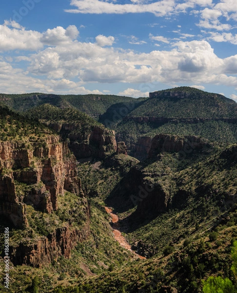 Fototapeta Becker Butte and the Salt River