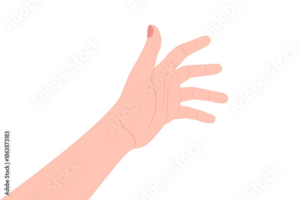 Obraz outstretched woman's hand, vector