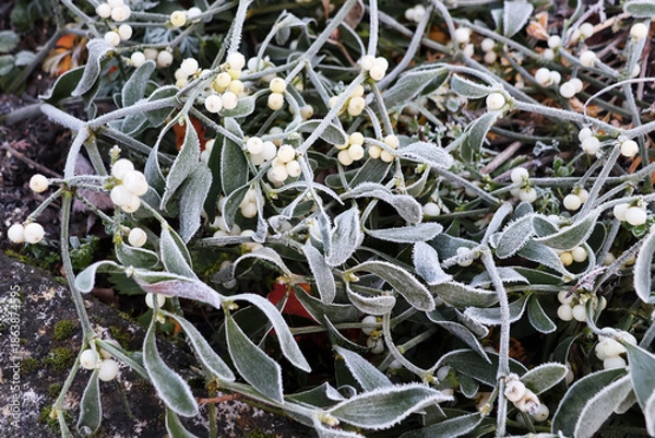 Obraz l hiver est arrivée