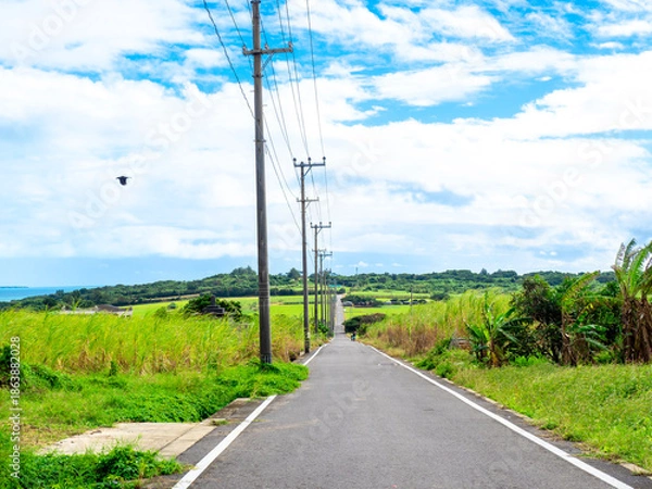 Obraz シュガーロード（沖縄県小浜島）