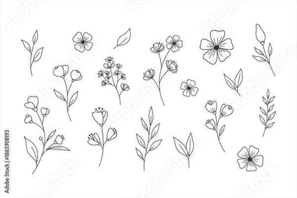 Obraz Botanical Floral Illustrations