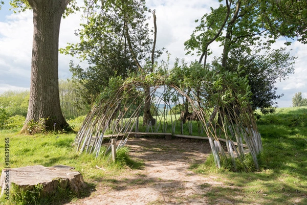 Obraz Willow Hut