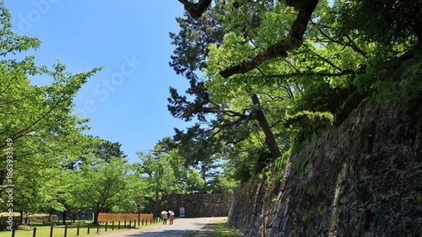 Obraz 青空と新緑が美しい初夏の城跡と石垣の風景