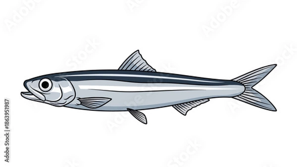 Obraz fish isolated in white background vector