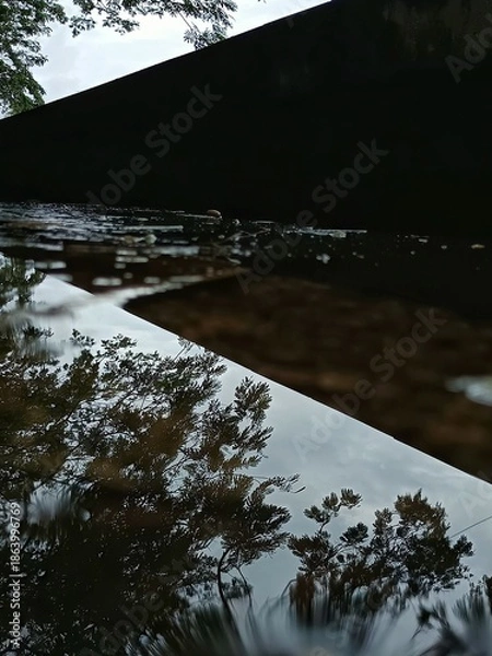 Obraz Rain puddle reflecting trees outdoors