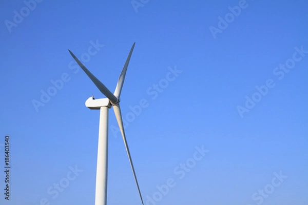 Fototapeta 風力発電と青空