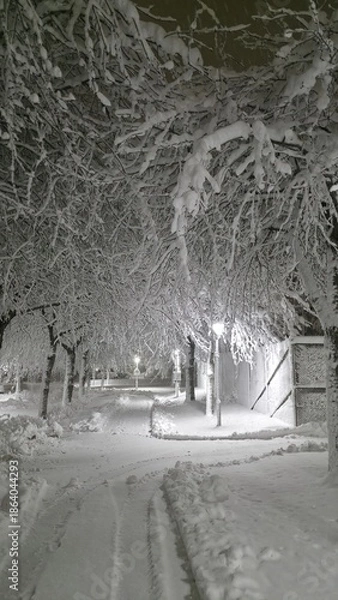 Obraz snow covered road
