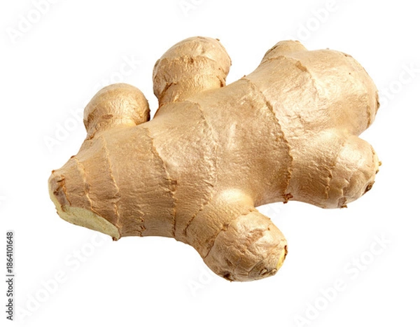 Obraz A close-up studio shot showcasing a whole, fresh ginger root against a solid black background