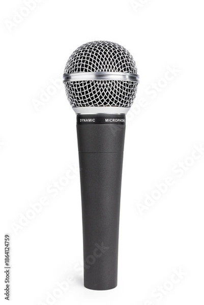 Obraz Dynamic microphone isolated on white background.