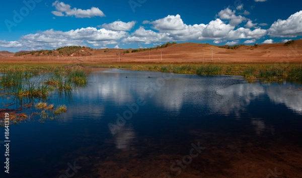Fototapeta landscape of the Bashang grassland in Hebei, China